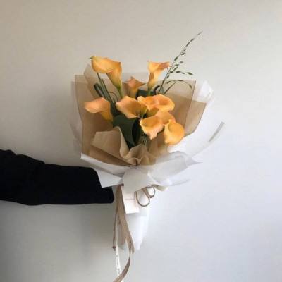小浣熊百宝箱手游下载