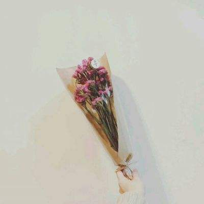 乱武门手游bt版下载
